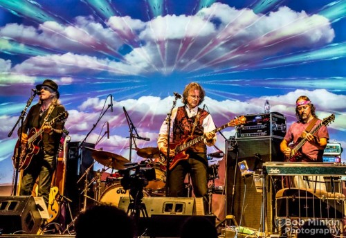 Moonalice, une expérience rock et  technologique avec un groupe de San Francisco